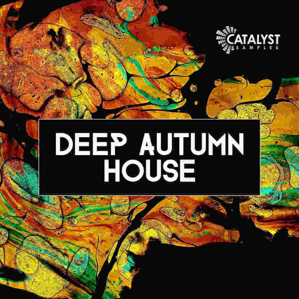 Catalyst Samples - Autumn Deep House Sample Packs Software GUI Artwork
